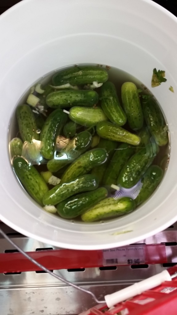yummy  - pickle