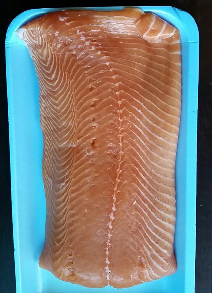 salmon - fish