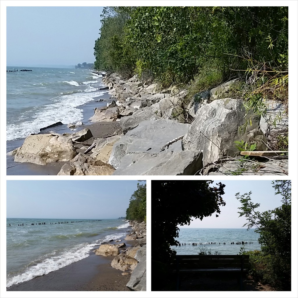 erieau - photogrid