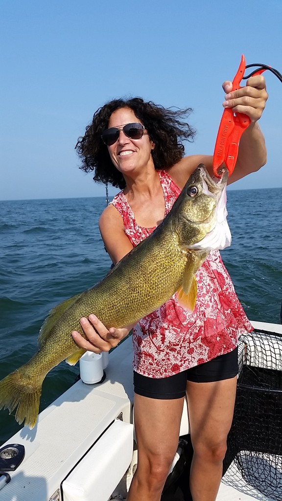 erieau - walleye