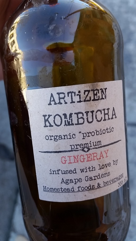 ottawa - kombucha