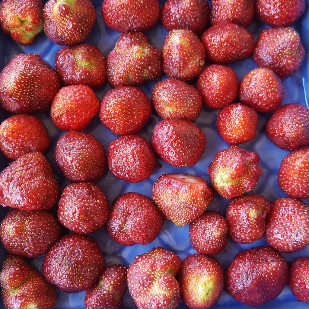 lunch - fruit