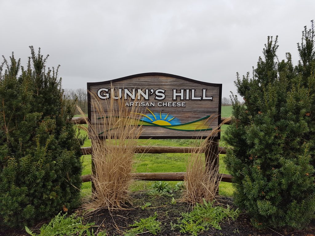 cheese - gunns hill