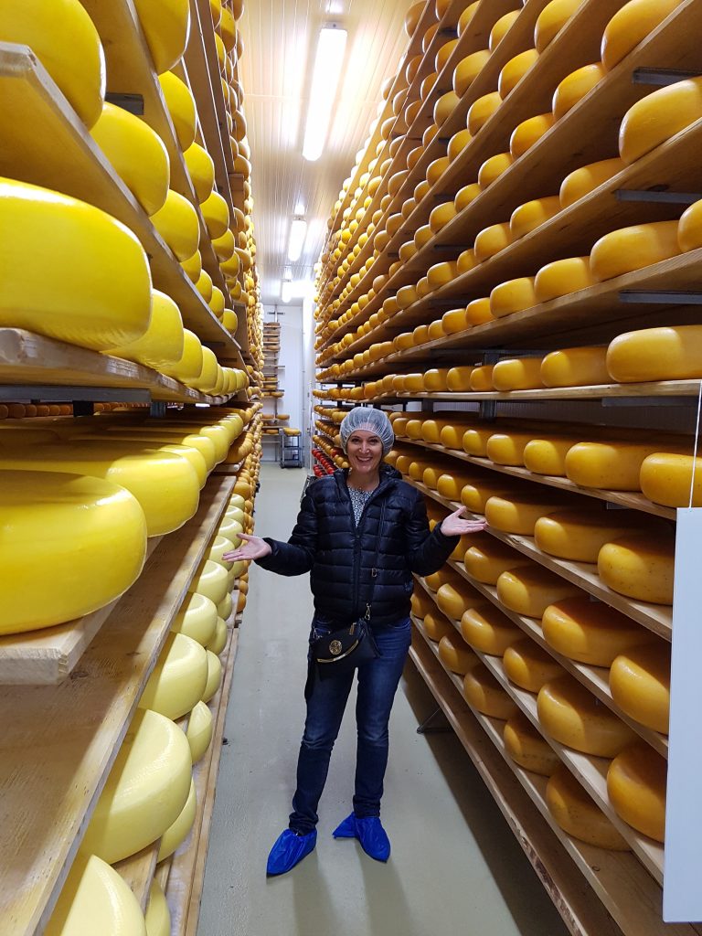 cheese - moutnain oak tour